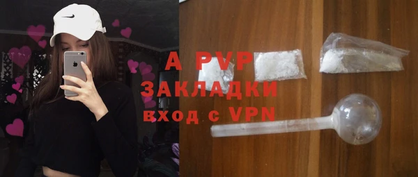 твердый Аркадак