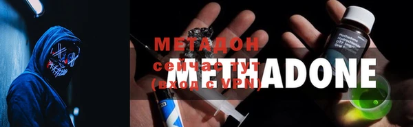 твердый Аркадак
