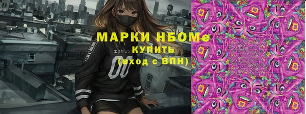 твердый Аркадак