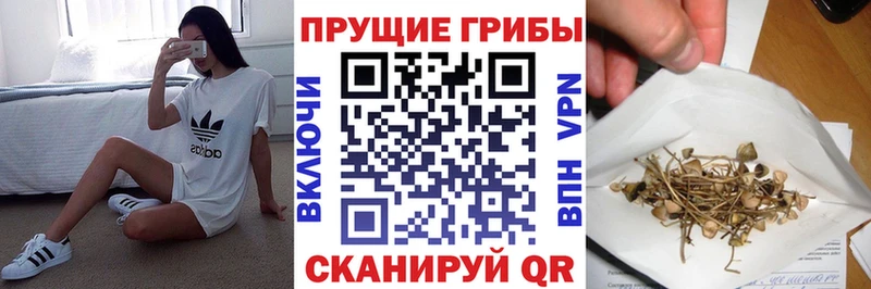 что такое наркотик Калачинск Псилоцибиновые грибы GOLDEN TEACHER